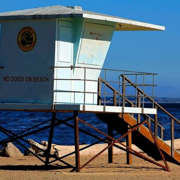 Meet Tracy - Picture 14 of 16